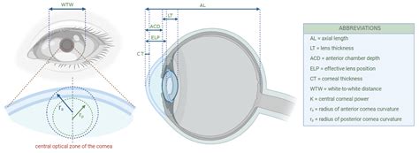 types of ophthalmic measurements